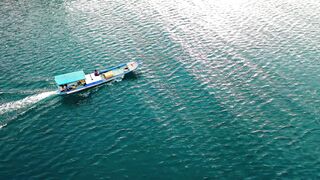 "Nature's Hidden Treasures: A Voyage of Discovery"