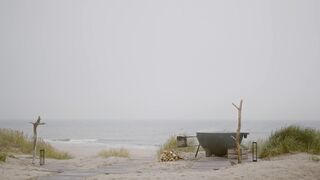 "Nature's Serenity: An Expedition into the Wild"