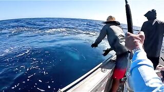 fish catching in sea