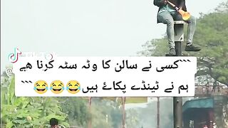 New funny clips 2024