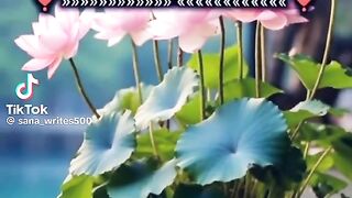 Hazrat Ali quotes in Urdu 163