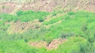 status,status video,status song,status whatsap,beast song,good song,video,natural 262