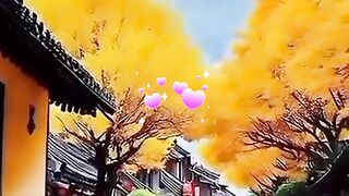 status,status video,status song,status whatsap,beast song,good song,video,natural 276