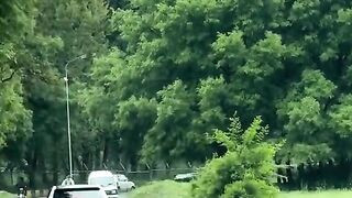 status,status video,status song,status whatsap,beast song,good song,video,natural 287