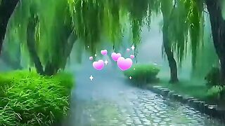 status,status video,status song,status whatsap,beast song,good song,video,natural 297