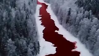 In a horrifying incident, another river in #russia has turned beetroot red after a major incidence of contamination by a mystery pollutant