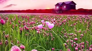 status,status video,status song,status whatsap,beast song,good song,video,natural 307