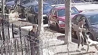 Amazing#10