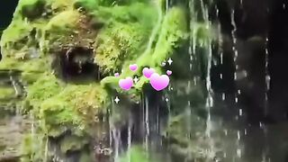 status,status video,status song,status whatsap,beast song,good song,video,natural 327