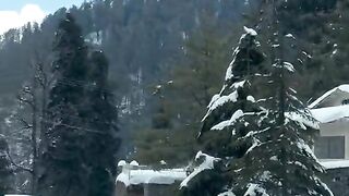 status,status video,status song,status whatsap,beast song,good song,video,natural 350