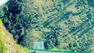 status,status video,status song,status whatsap,beast song,good song,video,natural 363