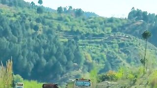 status,status video,status song,status whatsap,beast song,good song,video,natural 365
