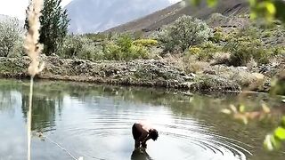 status,status video,status song,status whatsap,beast song,good song,video,natural 369