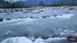 status,status video,status song,status whatsap,beast song,good song,video,natural 374