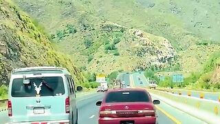 status,status video,status song,status whatsap,beast song,good song,video,natural 394