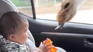 Very beautiful video 7