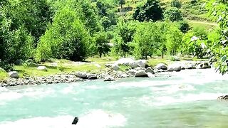 status,status video,status song,status whatsap,beast song,good song,video,natural 398
