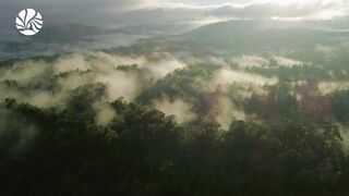 nusantara kaya