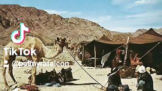 بادية تدمر ٢
