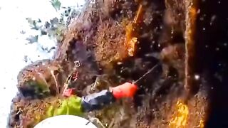 How to collect nectar