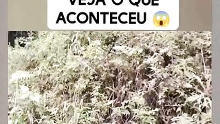 ELA QUASE FOI EXECUTADA????