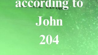 The Gospel according to John 204