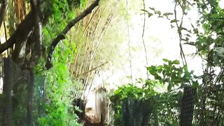 Litoral Norte de SP