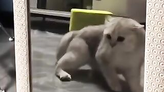 very beautiful cute