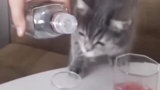 We all need a friend like that