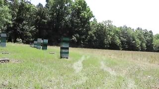 Harvesting 90 Pounds of PURE, GOLDEN Honey!