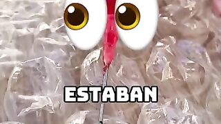 Elección de órganos ????????????