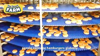The BIGGEST Hamburger Production Line That Will Leave You Speechless Mega Burger Factory