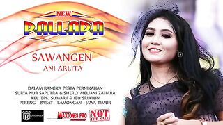Sawangen - ANI ARLITA Lamongan Jawa Timur DANGDUT KOPLO NEW PALLAPA Terbaru