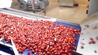 How Strawberry Jam Is Made In Factory Strawberry Jam Factory Process