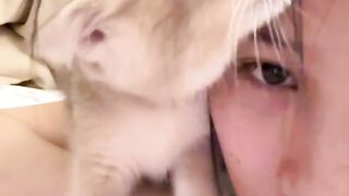 cute cat 50