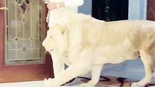 Khurram gujjar  Rich Man