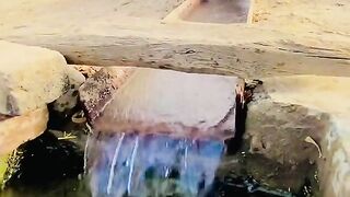 punjabi calture