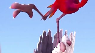 Bird saving it's eggs ????