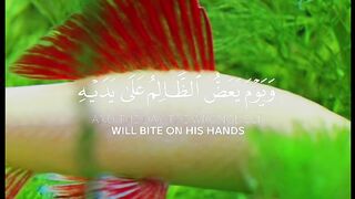 video 412