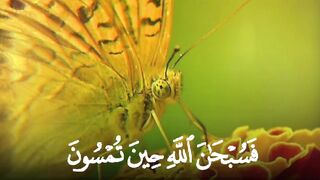 video 413
