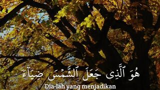 video 415