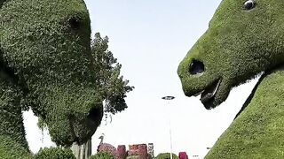 Amazing park 2