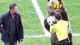 Rare Moments with Animals 2