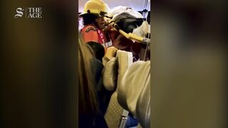 Passengers and crew flung around cabin during severe turbulence on Flight SQ321