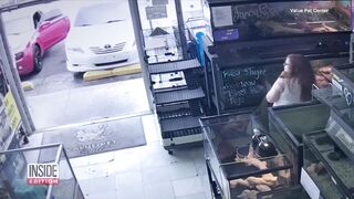 Staff Asks for Return of $1,000 Bird Taken From Pet Store