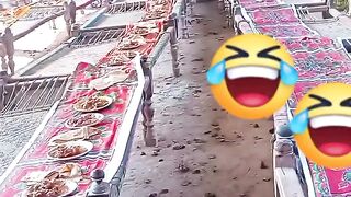 How this my video funny