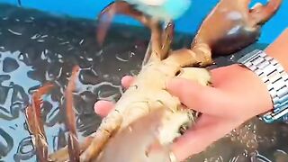 How to cook crab