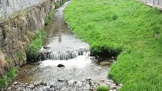 Comuna Rasinari