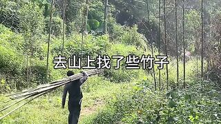 House Renovation #131