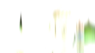 video 421